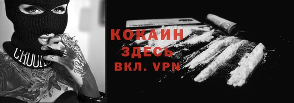 твердый Алексеевка