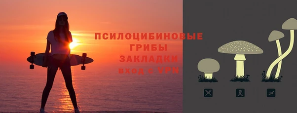 твердый Алексеевка