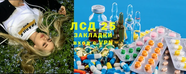 spice Аркадак